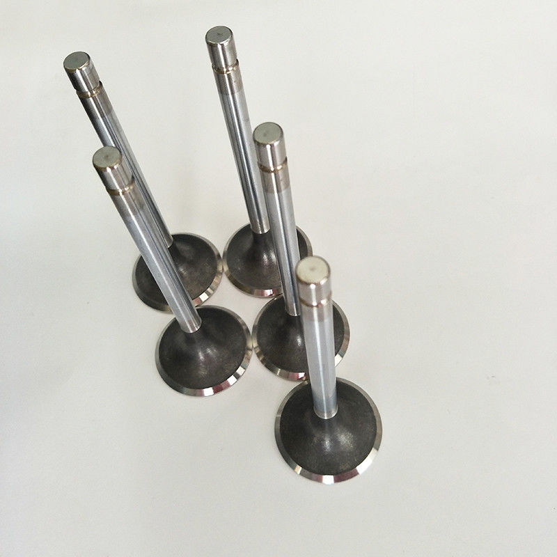 RD8 Motor Emme Egzoz Valf Kılavuzları Nissan 13201-97000 Mil Çapı 12mm