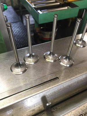 Cummins Standart Boyut için OEM 3924492 3921444 6CT Motor Emme Egzoz Vanaları